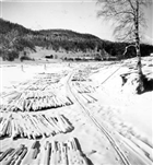 TIMMER ÄLV VINTERBILD