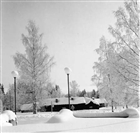 BONDGÅRD VINTERBILD FRILUFTSMUSEUM FRILUFTSMUSEUM