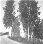 FRIKYRKA