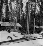 SKOG STALL HÄST VINTERBILD