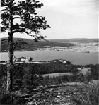 BARRSKOG FJÄRD