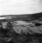 BARRSKOG FJÄRD