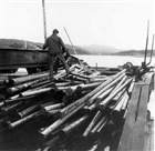ÄLV MAN TIMMER FLOTTNING