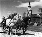 HÄST KYRKA HARVNING