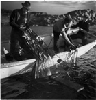 FISKE FISKARE MAN BÅT FISKEBÅT