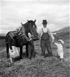 MAN BARN HÄST