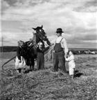 MAN BARN HÄST