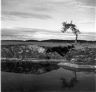 HÖGA KUSTEN HAV BERG BARRTRÄD