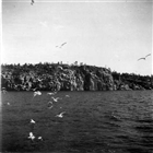 HÖGA KUSTEN HAV BERG