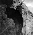 BERG