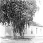 FRIKYRKA