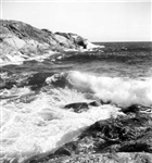 HAVSKUST
