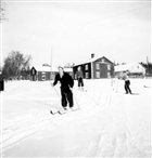 JORDBRUKSBEBYGGELSE SKIDÅKNING VINTERBILD