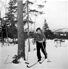 VINTERBILD SKIDÅKNING KVINNA