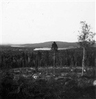 SKOG SJÖ