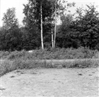 ARKEOLOGI GRAVHÖG GRAVANLÄGGNING