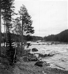 TIMMER ÄLV