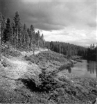 SKOGSBYGD VÄG