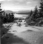 FJÄRD VINTERBILD