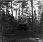 ARKEOLOGI FORNLÄMNING SKOG
