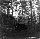 FLYTTBLOCK SKOG