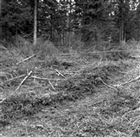 ARKEOLOGISK UNDERSÖKNING ARKEOLOGI