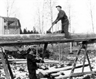 FRILUFTSMUSEUM MAN KRANSÅGNING