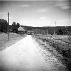 LOGE KORNHÄSSJA