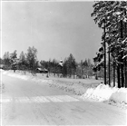 FRILUFTSMUSEUM FRILUFTSMUSEUM VINTERBILD