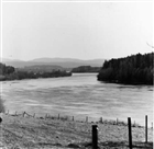 ÄLV SKOGSBYGD