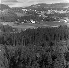 TÄTORTSBEBYGGELSE