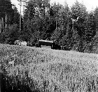 BEGRAVNINGSTÅG HÄST KÄRRA MAN