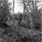 GRAVHÖG ARKEOLOGI