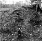 GRAVHÖG ARKEOLOGI ARKEOLOGISK UNDERSÖKNING