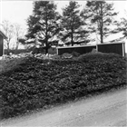 GRAVHÖG