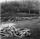 GRAVHÖG ARKEOLOGI ARKEOLOGISK UNDERSÖKNING