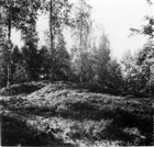 GRAVFÄLT