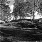 ARKEOLOGI GRAVFÄLT GRAVHÖG GRAVANLÄGGNING