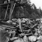 FÅNGSTDON