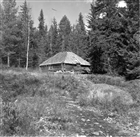 FRILUFTSMUSEUM SKOGSLAPPBY