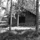 SKOGSARBETARKOJA STALL FRILUFTSMUSEUM