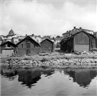MAGASIN