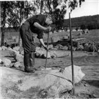 ARKEOLOGI GRAVFÄLT GRAVHÖG ARKEOLOGISK UNDERSÖKNING MAN