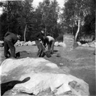 ARKEOLOGISK UNDERSÖKNING ARKEOLOGI GRAVHÖG GRAVFÄLT