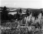 SKOGSBYGD ÄLV