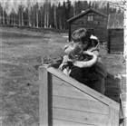 FRILUFTSMUSEUM ELEV TECKNING FRILUFTSMUSEUM
