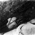 ARKEOLOGI