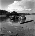 BARN BIL KVINNA