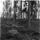 ARKEOLOGI MYRMALMSBLÄSTER