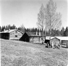 BONDGÅRD FRILUFTSMUSEUM FRILUFTSMUSEUM